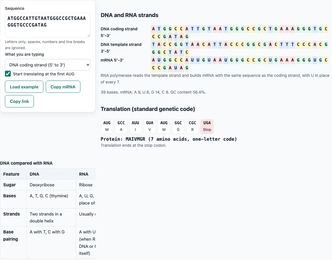 Dna vs rna example