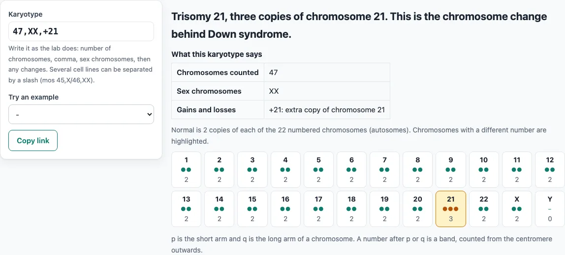 Karyotype example