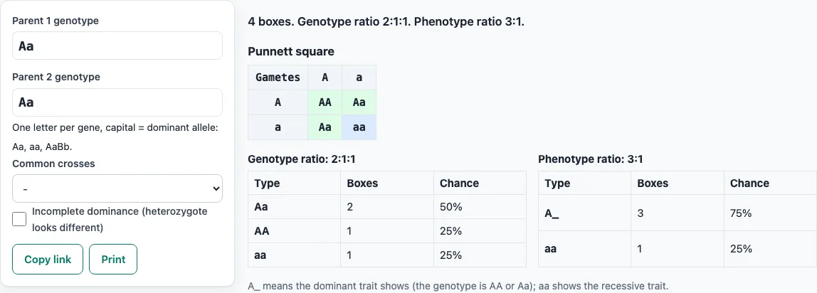 Punnett square calculator example